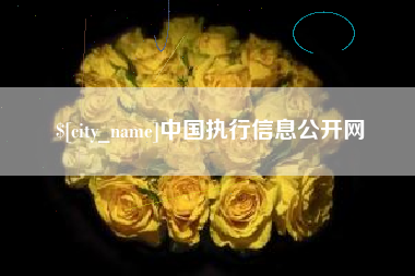 祁东中国执行信息公开网