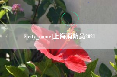 祁东上海消防员2021