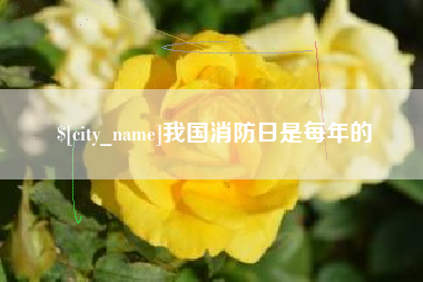 祁东我国消防日是每年的