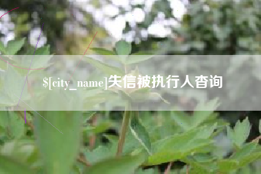 祁东失信被执行人杳询