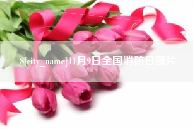 祁东11月9日全国消防日图片