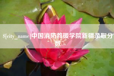 祁东中国消防救援学院新疆录取分数