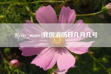祁东我国消防日几月几号