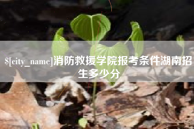 祁东消防救援学院报考条件湖南招生多少分