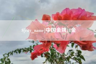 祁东中国金牌18金