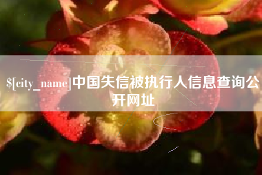 祁东中国失信被执行人信息查询公开网址