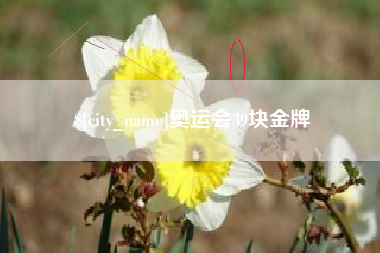 祁东奥运会39块金牌