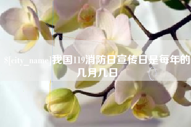 祁东我国119消防日宣传日是每年的几月几日