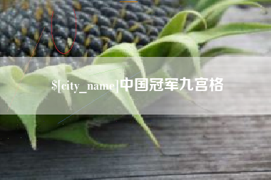 祁东中国冠军九宫格