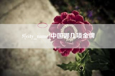 祁东中国哪几项金牌