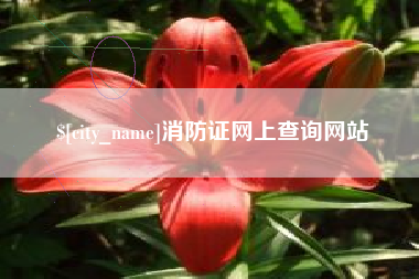 祁东消防证网上查询网站