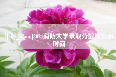 祁东2024消防大学录取分数线公布时间