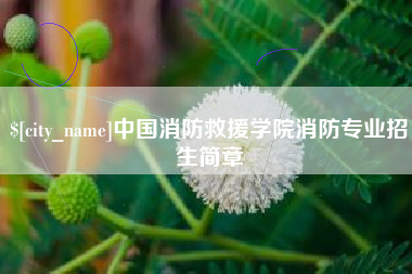 祁东中国消防救援学院消防专业招生简章