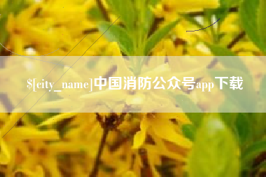 祁东中国消防公众号app下载