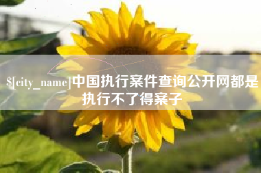 祁东中国执行案件查询公开网都是执行不了得案子