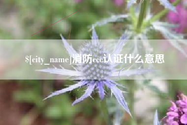 祁东消防ccc认证什么意思