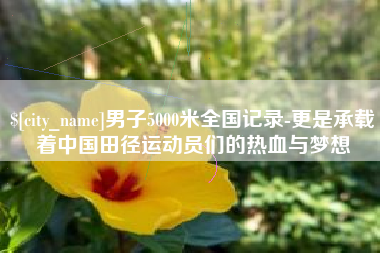 祁东男子5000米全国记录-更是承载着中国田径运动员们的热血与梦想