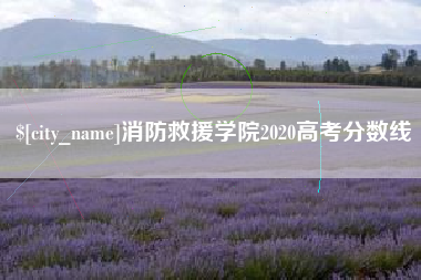 祁东消防救援学院2020高考分数线
