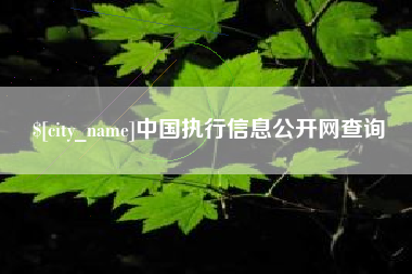 祁东中国执行信息公开网查询