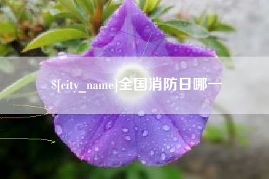 祁东全国消防日哪一