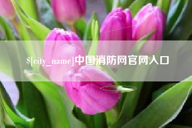 祁东中国消防网官网入口