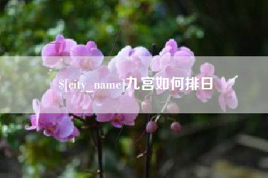 祁东九宫如何排日
