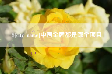 祁东中国金牌都是哪个项目