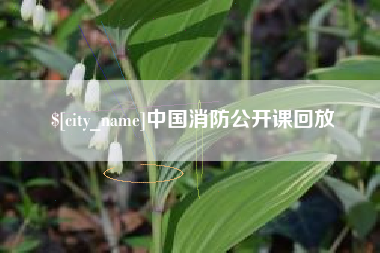 祁东中国消防公开课回放