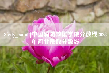 祁东中国消防救援学院分数线2023年河北录取分数线