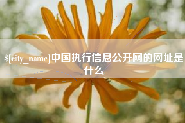 祁东中国执行信息公开网的网址是什么