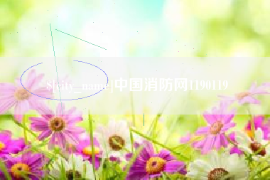祁东中国消防网1190119