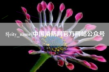 祁东中国消防网官方网站公众号