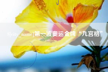 祁东第一波奥运金牌“九宫格”