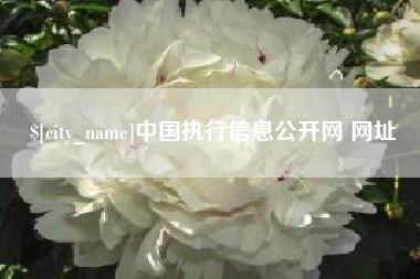 祁东中国执行信息公开网 网址