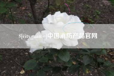 祁东中国消防产品官网