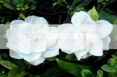 祁东中国的几块金牌2021