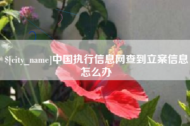祁东中国执行信息网查到立案信息怎么办