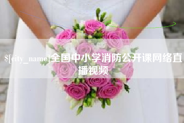祁东全国中小学消防公开课网络直播视频