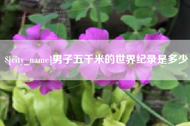 祁东男子五千米的世界纪录是多少