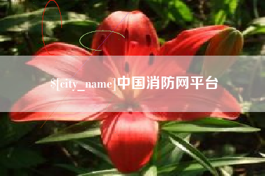 祁东中国消防网平台