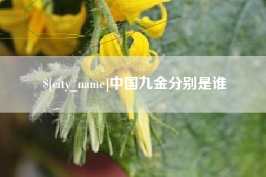 祁东中国九金分别是谁