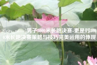 祁东男子5000米长跑决赛-更是对5000米长跑决赛策略与技巧完美运用的体现