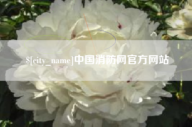 祁东中国消防网官方网站