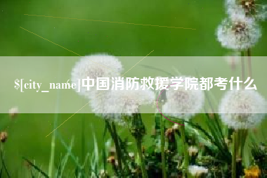 祁东中国消防救援学院都考什么