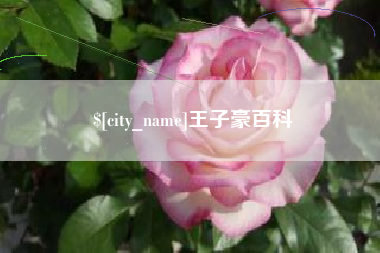 祁东王子豪百科