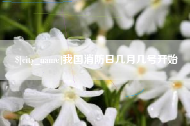 祁东我国消防日几月几号开始