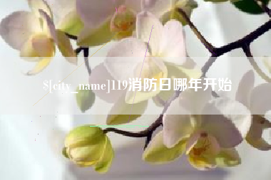 祁东119消防日哪年开始