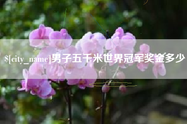 祁东男子五千米世界冠军奖金多少