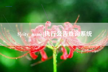 祁东执行公告查询系统