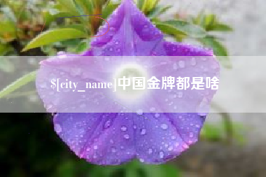祁东中国金牌都是啥
